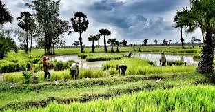Siem Reap Cycling To Hue Vietnam 16 Days